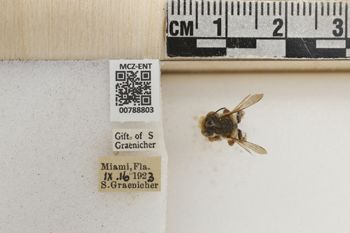 Media type: image;   Entomology 788803 Aspect: Labels